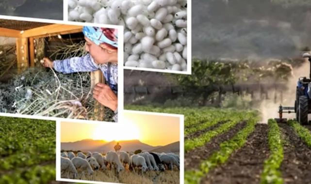 406,6 milyon TL’lik tarımsal desteklemeler hesaplarda