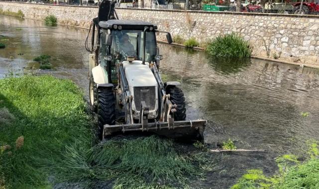 Bursa Gemlik’te derelerde temizlik