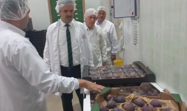 Bursa Siyah İnciri’ne coğrafi işaret denetimi