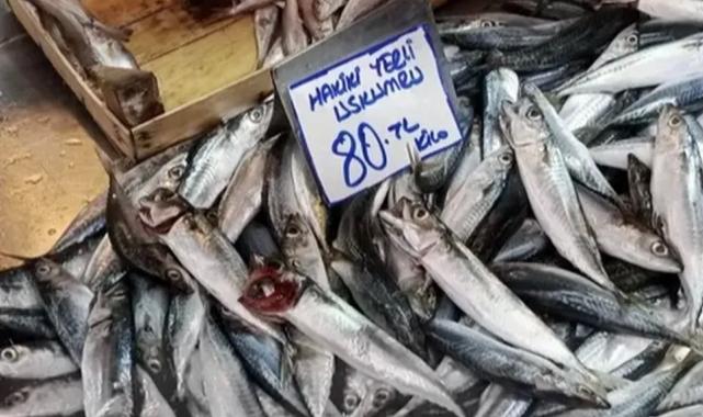 Bursa Tuz Pazarı’nda balık sezonu yoğunluğu başladı