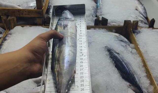 Bursa’da su ürünlerinde denetimler sürüyor