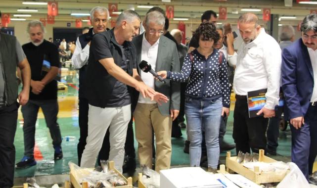 Denizde palamut bolluğu esnafın yüzünü güldürdü