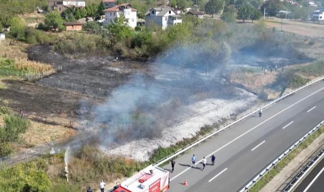 Düzce’de anız yangını! Fındık arazisi zarar gördü!