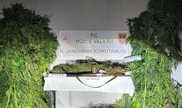 Düzce’de jandarma uyuşturucu operasyonu yaptı