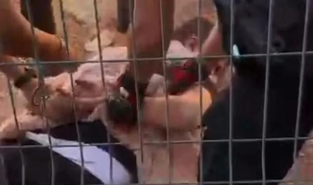 Gaziantep’te uzun namlulularla poz vermişlerdi… Gereği yapıldı!