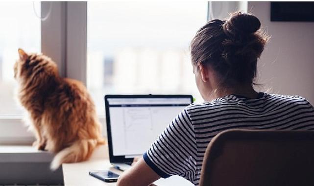 Gençleri iş ve burs vaadiyle kandırmaya çalışıyorlar