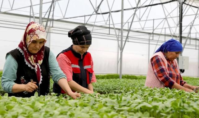 İlklerle tarım ve hayvancılıkta çığır açtılar