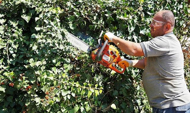 Keçiören’de mevsimlik budama çalışması