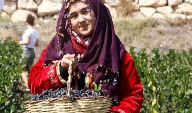 Kilosu 300 liraya satılıyor! Üreticinin yüzü gülüyor