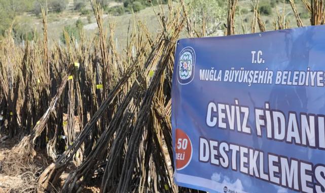 Muğla’da her kapıda bir fidan!