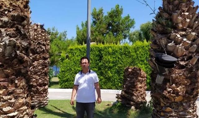 ‘Palmiye Kırmızı Böceği Mücadelesi’ Bursa’da da uygulanıyor