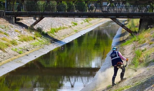 Sakarya’da Çark Deresi’nin çevresi temizleniyor