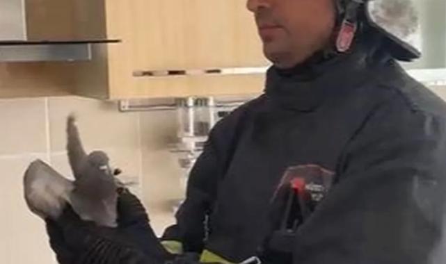 Sivas İtfaiyesi’nden güvercin operasyonu