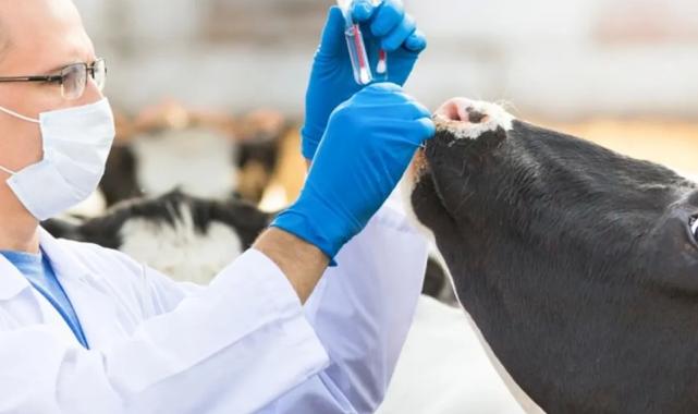 Tarım-GFE’de en yüksek değişim veteriner harcamalarında