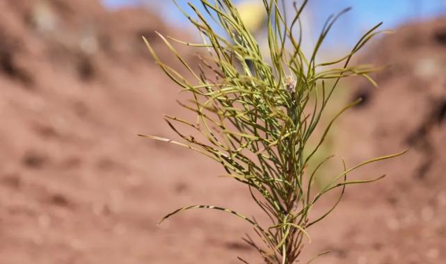 Uludağ Elektrik’ten elektronik fatura kullanımına teşvik