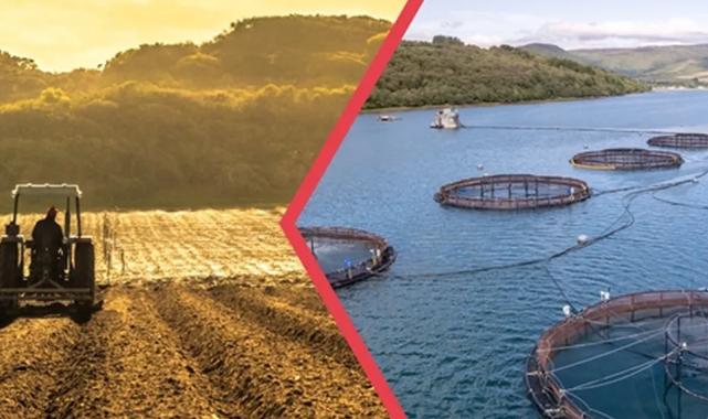 211 projeye 1,9 milyar TL hibe!