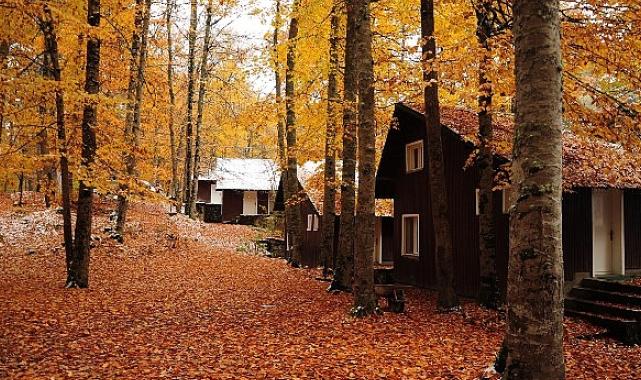 3.250 TL’den Başlayan Sonbahar Rotaları