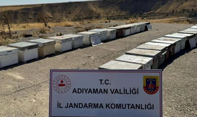 Adıyaman’da arı kovanlarını çalan şahıs yakalandı!