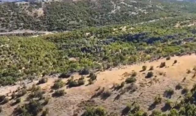 Adıyaman’da kaybolan 52 küçükbaş hayvan jandarma tarafından bulundu