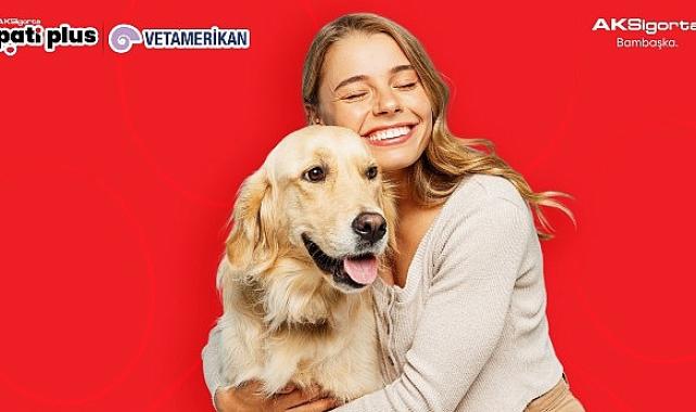 Aksigorta’dan evcil hayvan sahiplerini en iyi anlayan sigorta: Aksigorta Pati Plus VetAmerikan