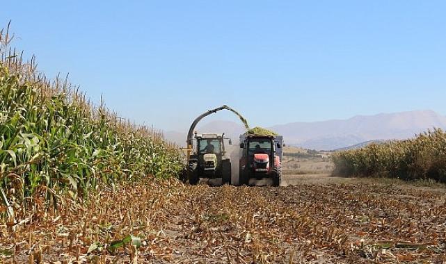 Antalya Büyükşehir Belediyesi tohum desteğiyle üreticilerin yanındaElmalı’da silajlık mısır hasadı yapıldı