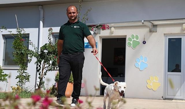 Antalyaspor’a ‘can dost’