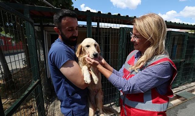 Başkan Ovalıoğlu, İnsan Odaklı Çalışmalarını Anlattı