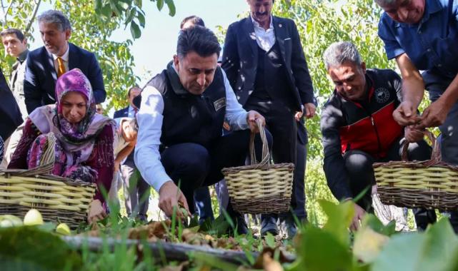 Bilecik ceviz üretiminde Türkiye 3’üncüsü