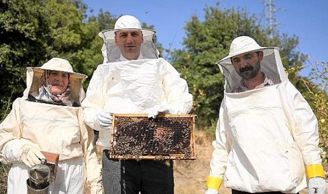 Bornova’da bal gibi proje