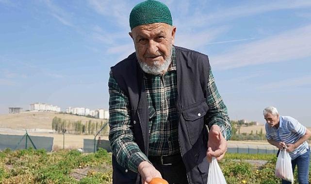 Bostanın Son Hasadı Huzurevi Sakinlerinden