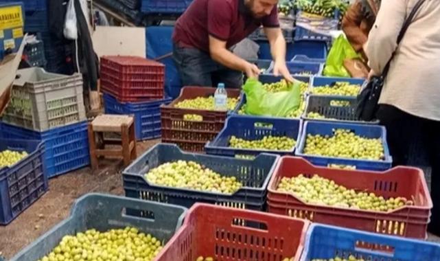 Bursa Tuz Pazarı’nda kurmalık zeytin satışı başladı