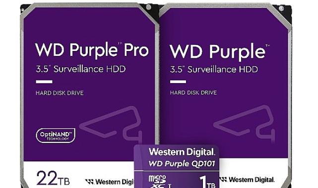 Büyük Etkinlikler Sırasında Akıllı Güvenlik Gözetiminin Önemi