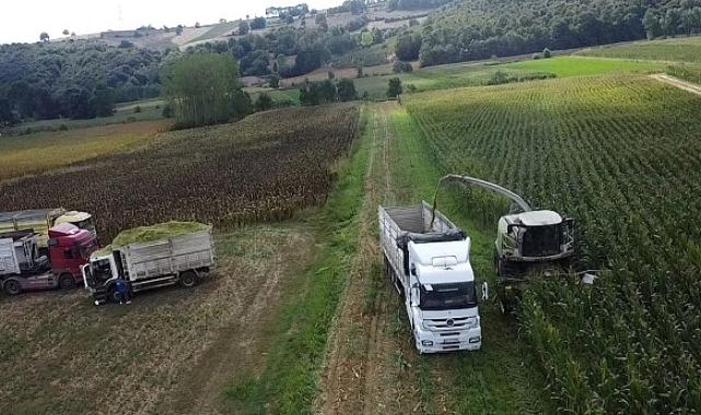 Büyükşehir destekledi, üreticinin yüzü güldü