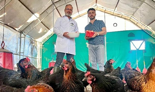 Büyükşehir destekliyor, çiftçinin yüzü gülüyor