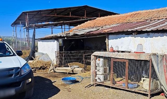 Büyükşehir’den ‘Mavi Dil’ Hastalığına Karşı Mücadele