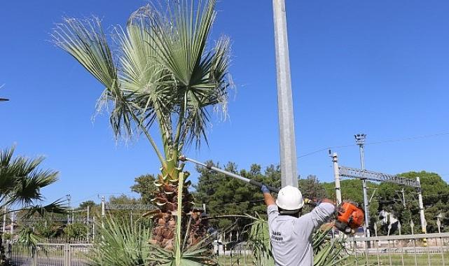 Büyükşehirden Muradiye-Menemen Yolundaki Yeşil Alanlara Bakım Çalışması