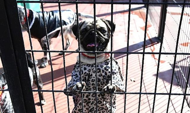 Can dostlar 4 Ekim’i en güzel kıyafetleri ile kutladı