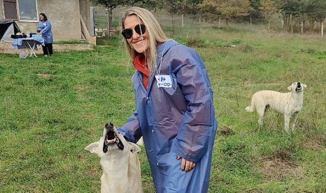 CarrefourSA Dost Hareketi ile Sokak Hayvanlarına Desteğe Devam Ediyor