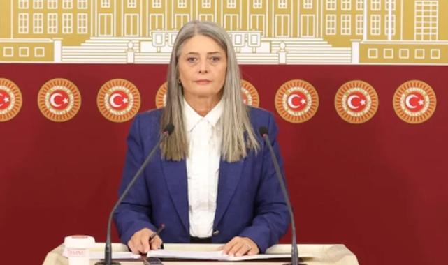 CHP’li Suiçmez’den Sağlık Bakanlığı’na ‘doğum’ tepkisi