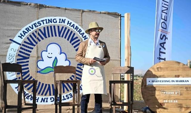 Harran Ovası’nda ikinci rejeneratif pamuk hasadı