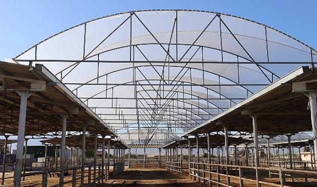 Hayvan Pazarı’nda 600 metrekare alanın üstü kapatıldı