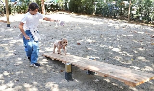 Hayvanları Koruma Günü’nde Kadıköy’de “Pati Park” Açıldı