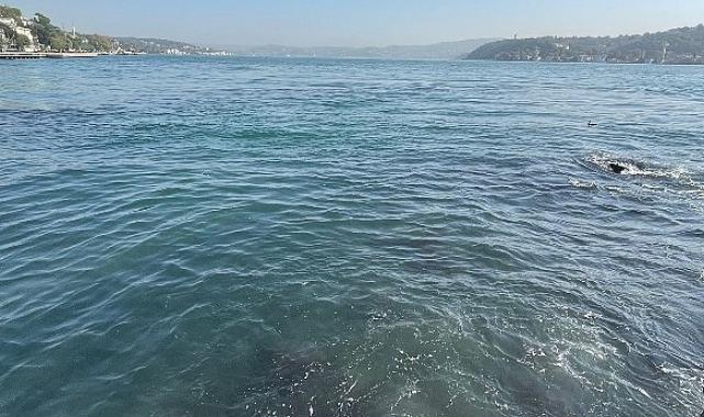 İBB’nin bağlı kuruluşu İstanbul Su ve Kanalizasyon İdaresi (İSKİ), Baltalimanı’nda boğaza atık su akışı olduğu iddialarını yalanladı