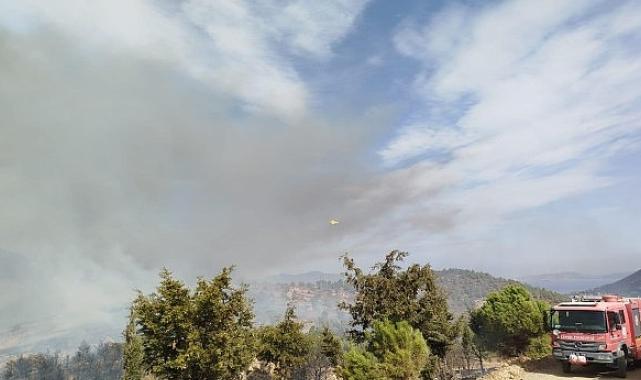 İzmir Büyükşehir Belediyesi ekipleri Foça’daki yangına müdahaleyi sürdürüyor