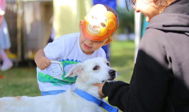 Karabağlar can dostlar için buluştu