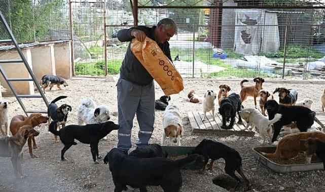 Kemer Belediyesi mama üretim tesisini açıyor