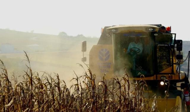 Kocaeli destekledi, üreticinin yüzü güldü
