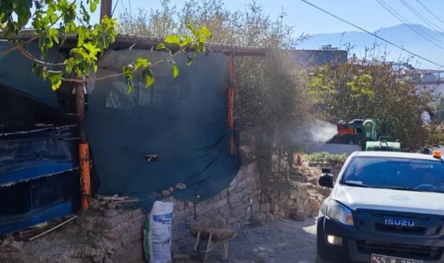 Manisa Büyükşehir’den ‘Mavi Dil’ hastalığına karşı mücadele