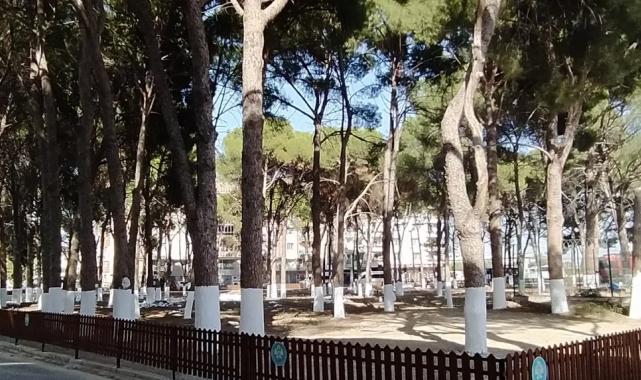 Manisa’da tarihi Muradiye Mezarlığı’na sahip çıktı