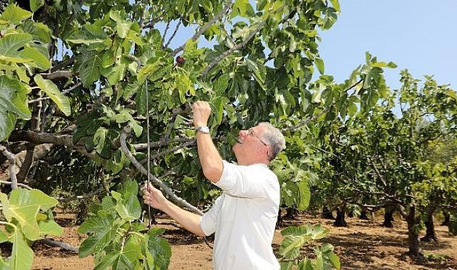 Mudanya tarımla kazanacak